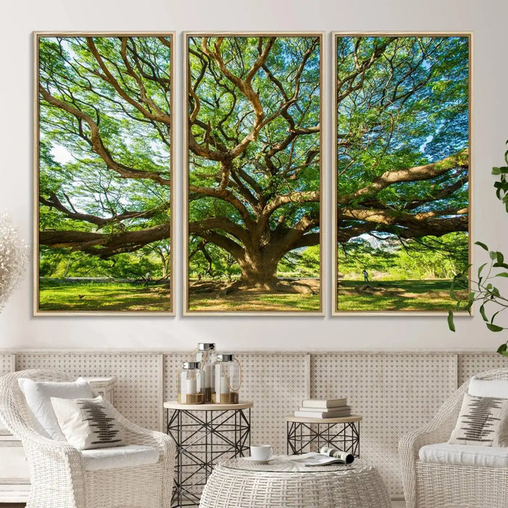 The Angel Oak Tree Wall Art, a multi-panel canvas print showcasing a large tree with sprawling branches and green leaves in a style reminiscent of the majestic Angel Oak Tree, elegantly adorns the wooden wall in the living room.