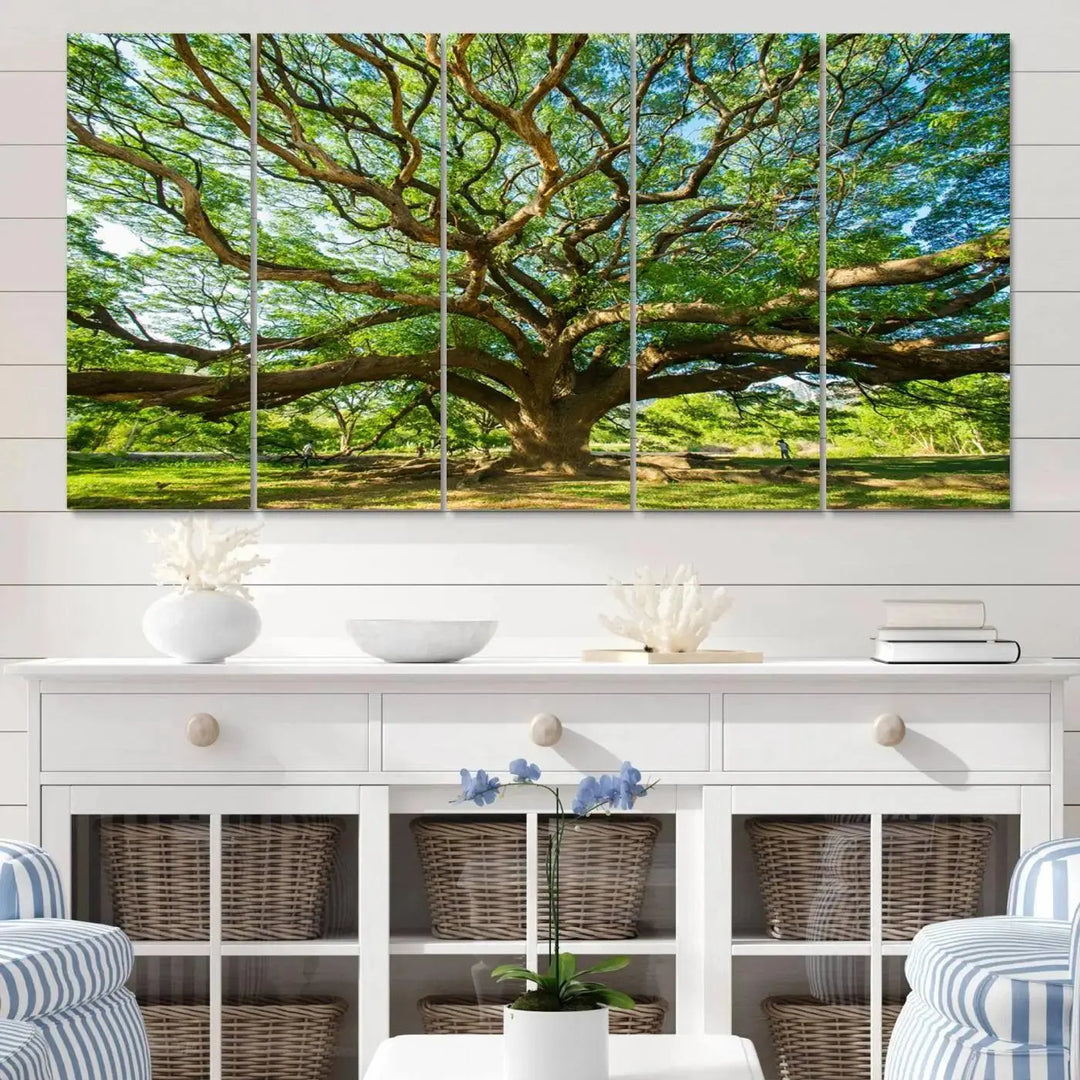 The Angel Oak Tree Wall Art, a multi-panel canvas print showcasing a large tree with sprawling branches and green leaves in a style reminiscent of the majestic Angel Oak Tree, elegantly adorns the wooden wall in the living room.