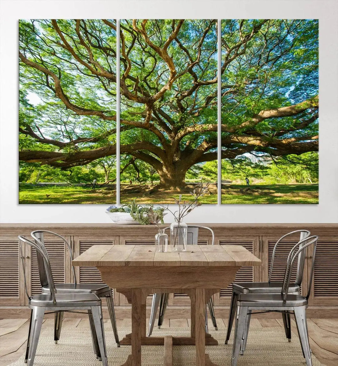 The Angel Oak Tree Wall Art, a multi-panel canvas print showcasing a large tree with sprawling branches and green leaves in a style reminiscent of the majestic Angel Oak Tree, elegantly adorns the wooden wall in the living room.