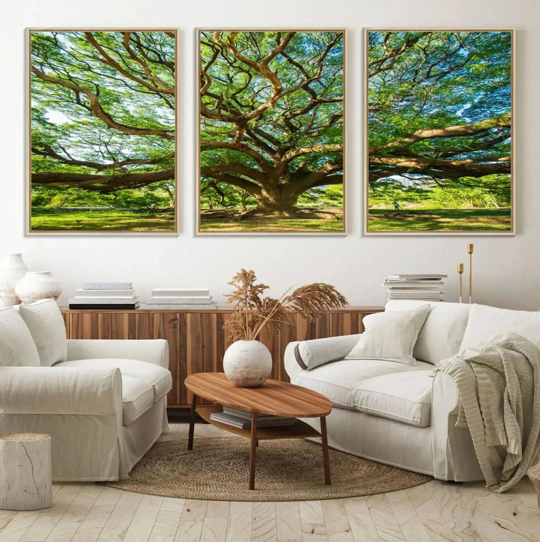 The Angel Oak Tree Wall Art, a multi-panel canvas print showcasing a large tree with sprawling branches and green leaves in a style reminiscent of the majestic Angel Oak Tree, elegantly adorns the wooden wall in the living room.