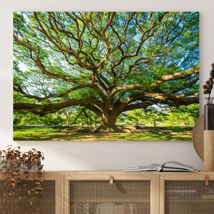 The Angel Oak Tree Wall Art is a stunning multi-panel landscape canvas print that serves as captivating wall art.