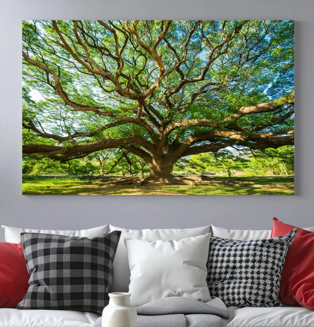 The Angel Oak Tree Wall Art is a stunning multi-panel landscape canvas print that serves as captivating wall art.