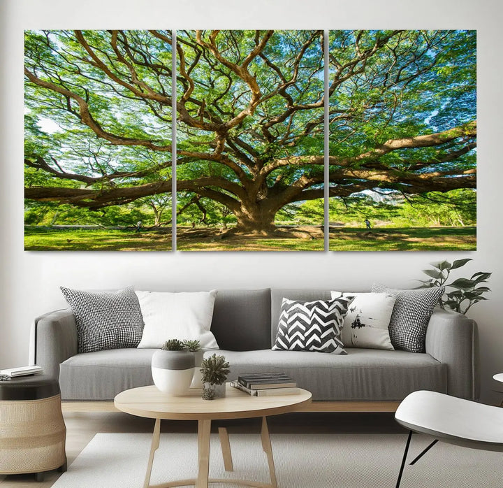 The Angel Oak Tree Wall Art is a stunning multi-panel landscape canvas print that serves as captivating wall art.