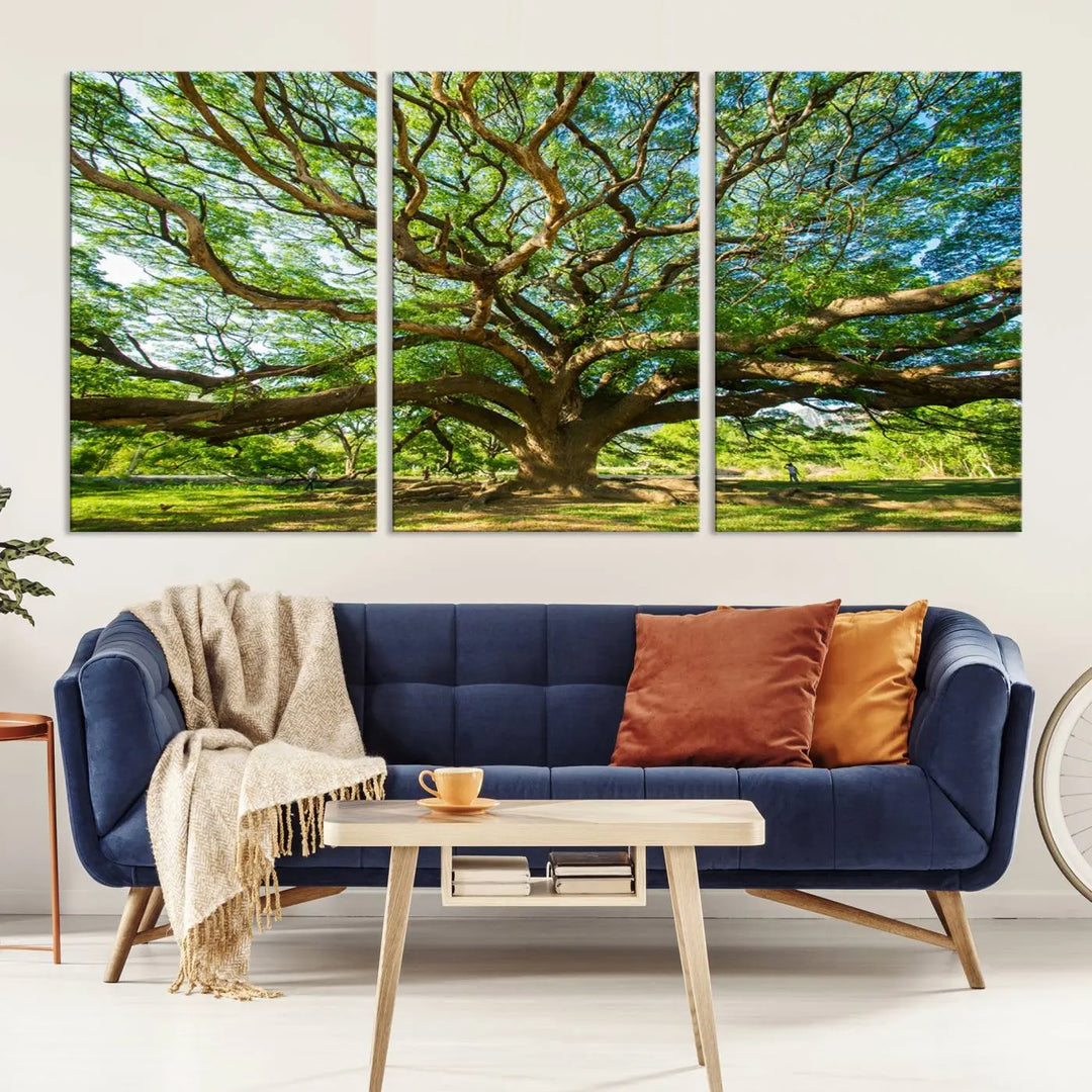 The Angel Oak Tree Wall Art is a stunning multi-panel landscape canvas print that serves as captivating wall art.