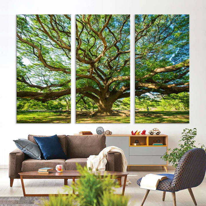 The Angel Oak Tree Wall Art is a stunning multi-panel landscape canvas print that serves as captivating wall art.