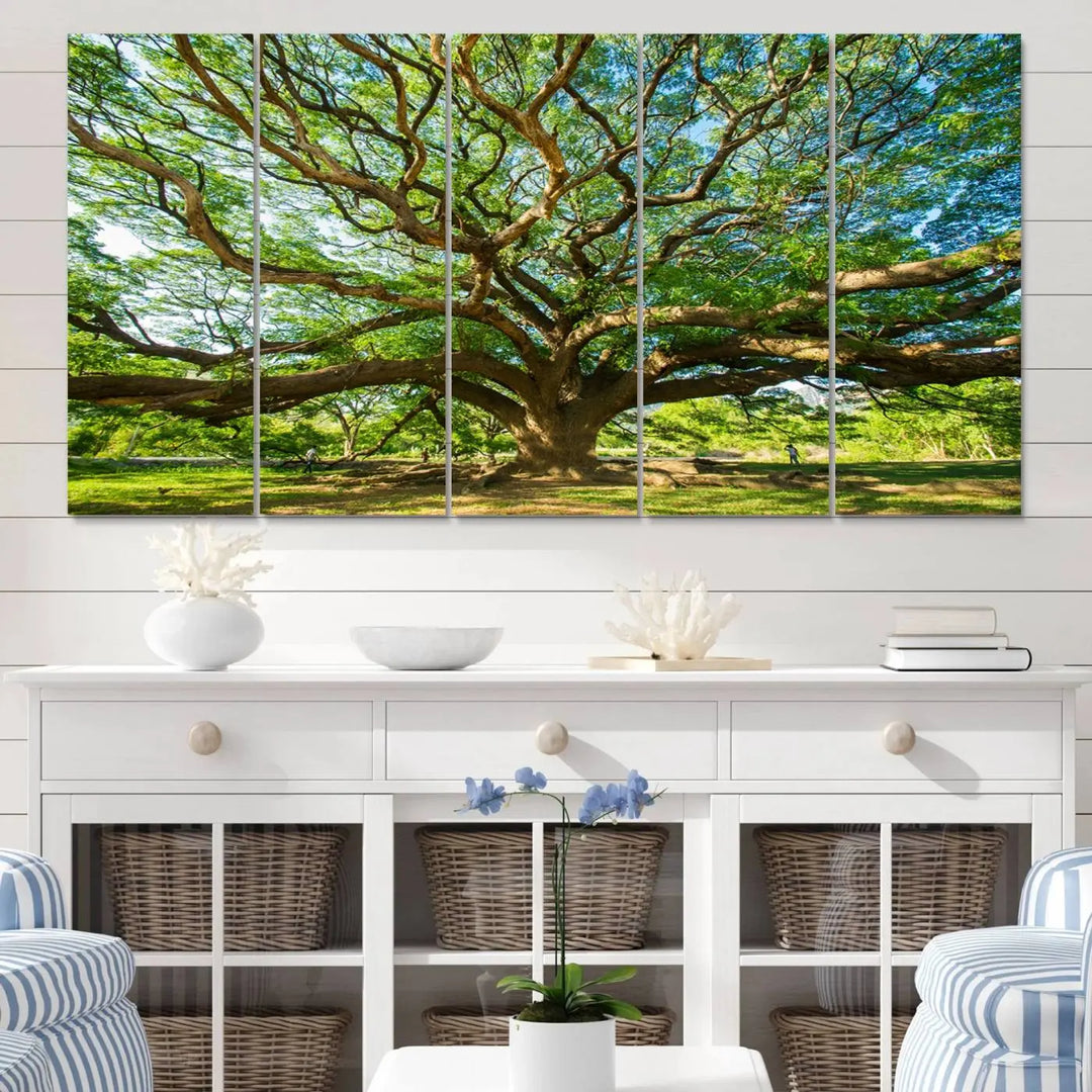 The Angel Oak Tree Wall Art is a stunning multi-panel landscape canvas print that serves as captivating wall art.