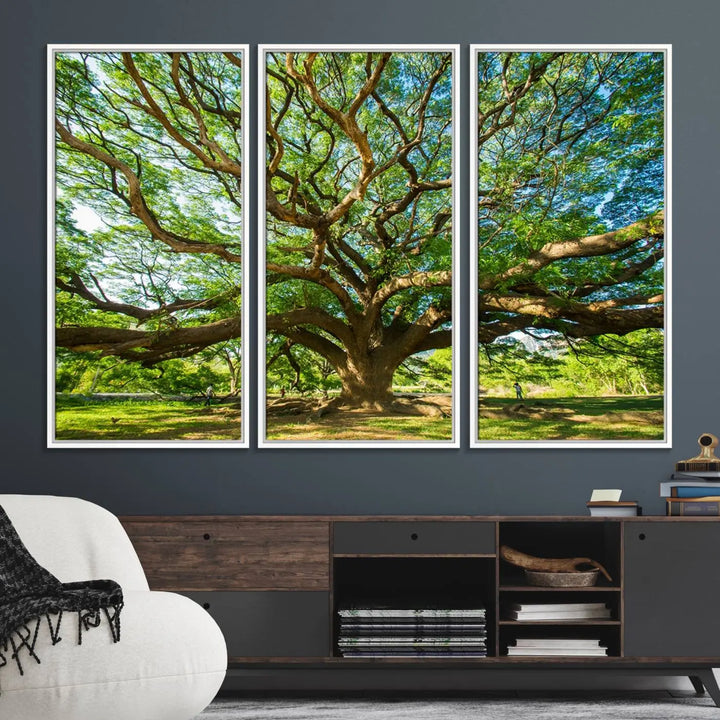 The Angel Oak Tree Wall Art is a stunning multi-panel landscape canvas print that serves as captivating wall art.