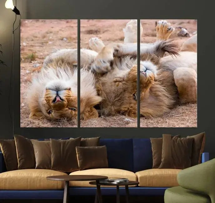 The Animal Wall Art Lion Canvas Print showcases two lions lounging on their backs, featured in a triptych configuration. This piece is printed on museum-quality canvas, comes ready to hang, and includes a UV-protective coating to maintain its vivid detail and elegance.