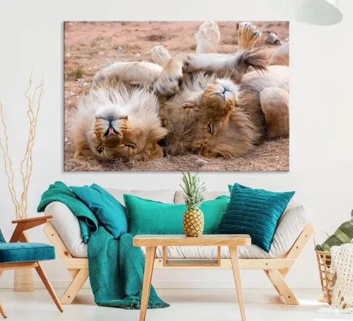 The Animal Wall Art Lion Canvas Print showcases two lions lounging on their backs, featured in a triptych configuration. This piece is printed on museum-quality canvas, comes ready to hang, and includes a UV-protective coating to maintain its vivid detail and elegance.