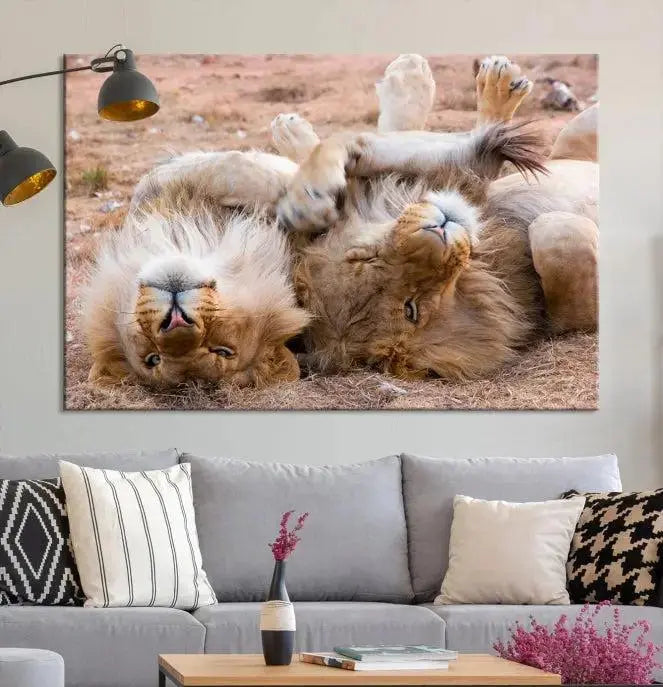 The Animal Wall Art Lion Canvas Print showcases two lions lounging on their backs, featured in a triptych configuration. This piece is printed on museum-quality canvas, comes ready to hang, and includes a UV-protective coating to maintain its vivid detail and elegance.