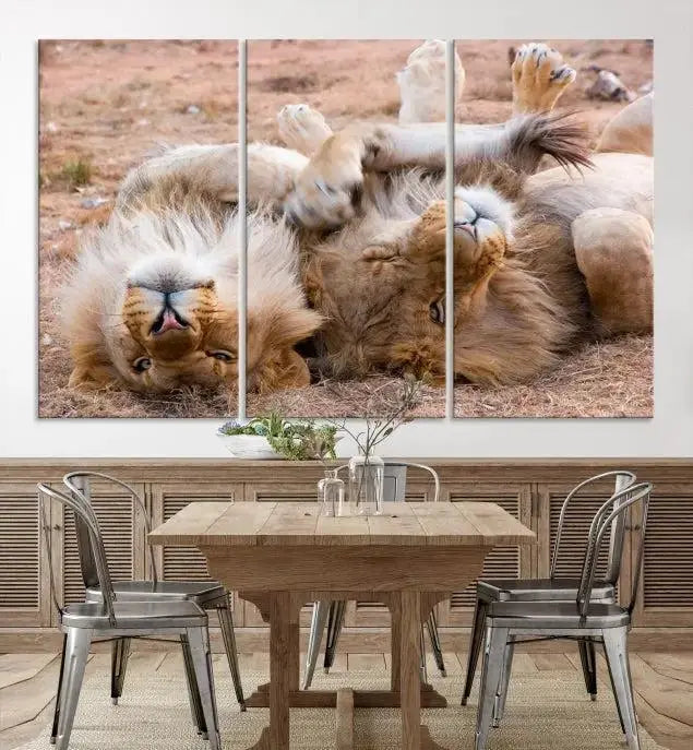 The Animal Wall Art Lion Canvas Print showcases two lions lounging on their backs, featured in a triptych configuration. This piece is printed on museum-quality canvas, comes ready to hang, and includes a UV-protective coating to maintain its vivid detail and elegance.