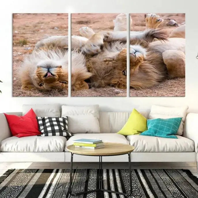 The Animal Wall Art Lion Canvas Print showcases two lions lounging on their backs, featured in a triptych configuration. This piece is printed on museum-quality canvas, comes ready to hang, and includes a UV-protective coating to maintain its vivid detail and elegance.