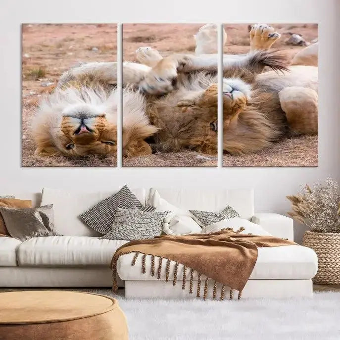 The Animal Wall Art Lion Canvas Print showcases two lions lounging on their backs, featured in a triptych configuration. This piece is printed on museum-quality canvas, comes ready to hang, and includes a UV-protective coating to maintain its vivid detail and elegance.