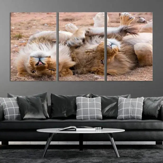 The Animal Wall Art Lion Canvas Print showcases two lions lounging on their backs, featured in a triptych configuration. This piece is printed on museum-quality canvas, comes ready to hang, and includes a UV-protective coating to maintain its vivid detail and elegance.