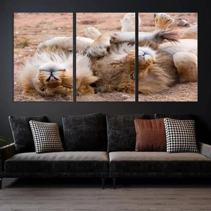 The Animal Wall Art Lion Canvas Print showcases two lions lounging on their backs, featured in a triptych configuration. This piece is printed on museum-quality canvas, comes ready to hang, and includes a UV-protective coating to maintain its vivid detail and elegance.