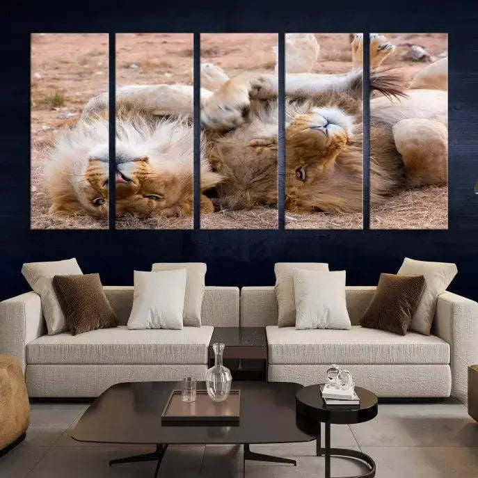 The Animal Wall Art Lion Canvas Print showcases two lions lounging on their backs, featured in a triptych configuration. This piece is printed on museum-quality canvas, comes ready to hang, and includes a UV-protective coating to maintain its vivid detail and elegance.