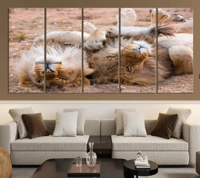 The Animal Wall Art Lion Canvas Print showcases two lions lounging on their backs, featured in a triptych configuration. This piece is printed on museum-quality canvas, comes ready to hang, and includes a UV-protective coating to maintain its vivid detail and elegance.