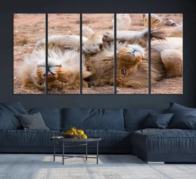 The Animal Wall Art Lion Canvas Print showcases two lions lounging on their backs, featured in a triptych configuration. This piece is printed on museum-quality canvas, comes ready to hang, and includes a UV-protective coating to maintain its vivid detail and elegance.