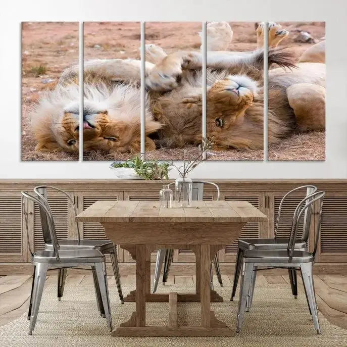 The Animal Wall Art Lion Canvas Print showcases two lions lounging on their backs, featured in a triptych configuration. This piece is printed on museum-quality canvas, comes ready to hang, and includes a UV-protective coating to maintain its vivid detail and elegance.