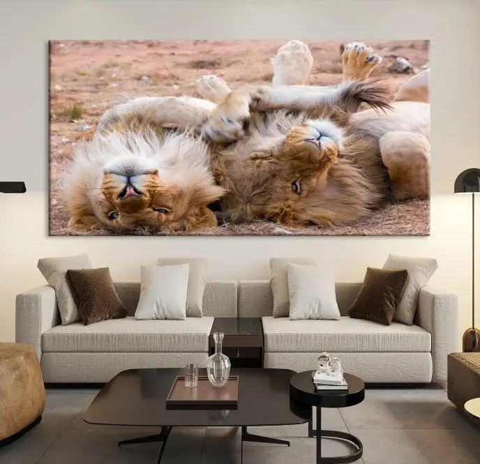 The Animal Wall Art Lion Canvas Print showcases two lions lounging on their backs, featured in a triptych configuration. This piece is printed on museum-quality canvas, comes ready to hang, and includes a UV-protective coating to maintain its vivid detail and elegance.