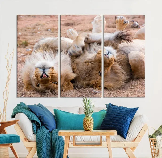 The Animal Wall Art Lion Canvas Print showcases two lions lounging on their backs, featured in a triptych configuration. This piece is printed on museum-quality canvas, comes ready to hang, and includes a UV-protective coating to maintain its vivid detail and elegance.