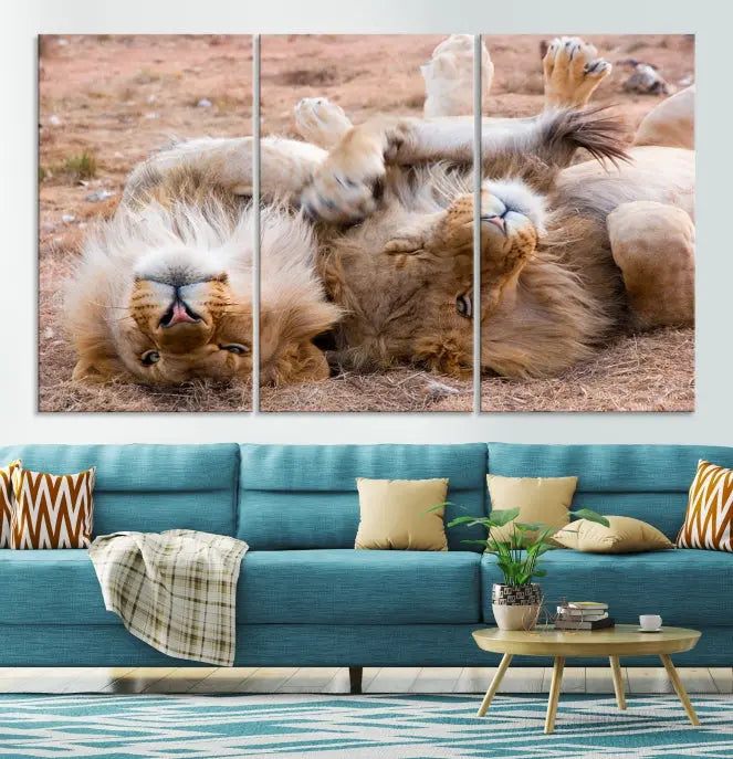 The Animal Wall Art Lion Canvas Print showcases two lions lounging on their backs, featured in a triptych configuration. This piece is printed on museum-quality canvas, comes ready to hang, and includes a UV-protective coating to maintain its vivid detail and elegance.