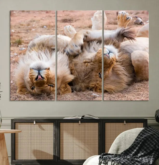 The Animal Wall Art Lion Canvas Print showcases two lions lounging on their backs, featured in a triptych configuration. This piece is printed on museum-quality canvas, comes ready to hang, and includes a UV-protective coating to maintain its vivid detail and elegance.