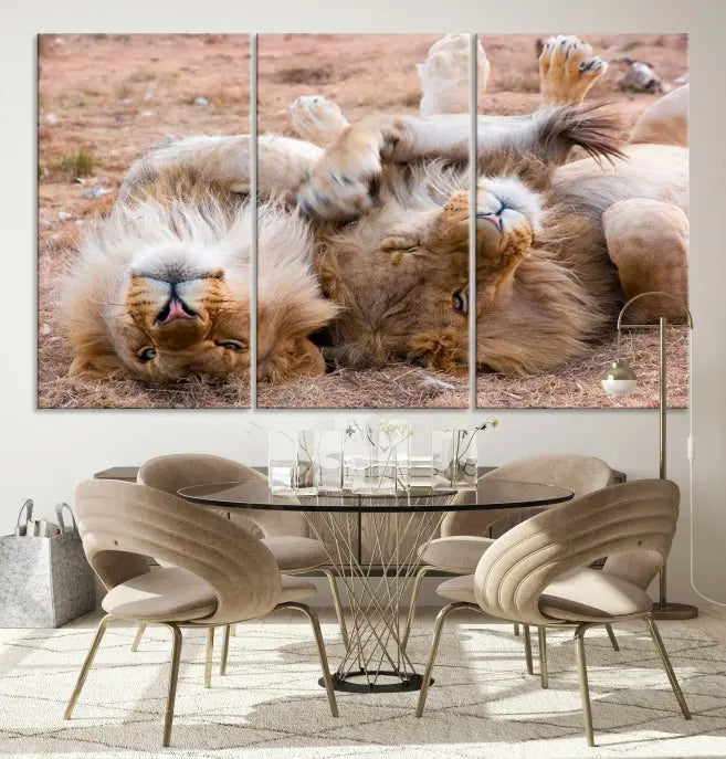 The Animal Wall Art Lion Canvas Print showcases two lions lounging on their backs, featured in a triptych configuration. This piece is printed on museum-quality canvas, comes ready to hang, and includes a UV-protective coating to maintain its vivid detail and elegance.