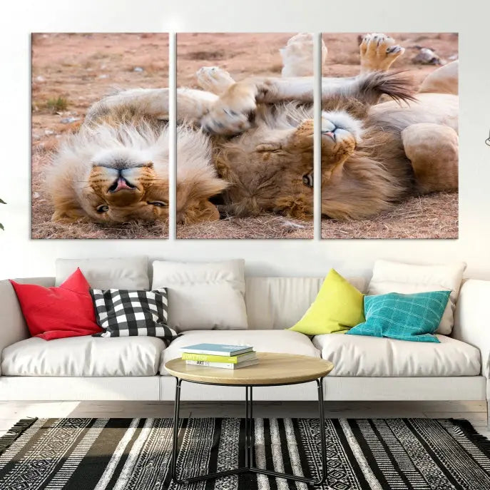 The Animal Wall Art Lion Canvas Print showcases two lions lounging on their backs, featured in a triptych configuration. This piece is printed on museum-quality canvas, comes ready to hang, and includes a UV-protective coating to maintain its vivid detail and elegance.