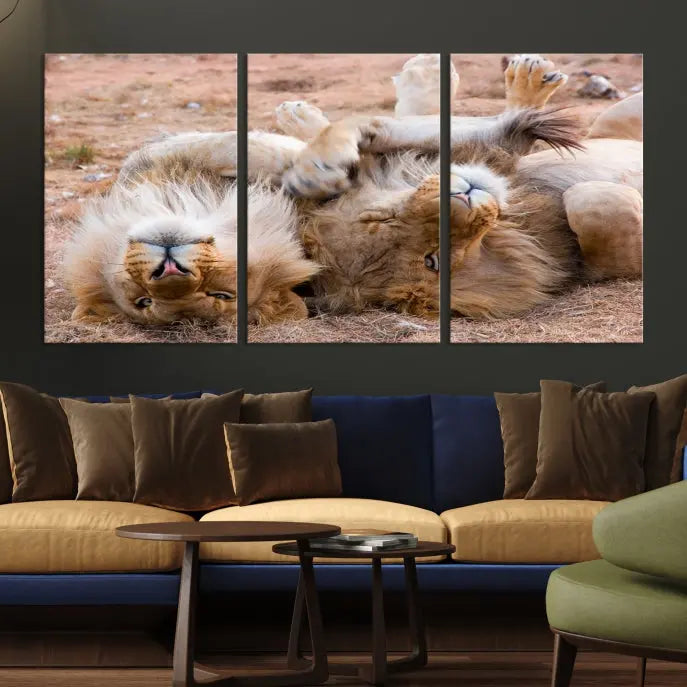 The Animal Wall Art Lion Canvas Print showcases two lions lounging on their backs, featured in a triptych configuration. This piece is printed on museum-quality canvas, comes ready to hang, and includes a UV-protective coating to maintain its vivid detail and elegance.