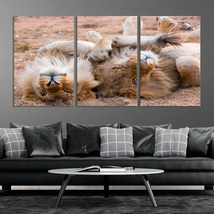 The Animal Wall Art Lion Canvas Print showcases two lions lounging on their backs, featured in a triptych configuration. This piece is printed on museum-quality canvas, comes ready to hang, and includes a UV-protective coating to maintain its vivid detail and elegance.