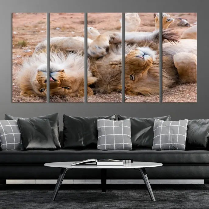 The Animal Wall Art Lion Canvas Print showcases two lions lounging on their backs, featured in a triptych configuration. This piece is printed on museum-quality canvas, comes ready to hang, and includes a UV-protective coating to maintain its vivid detail and elegance.