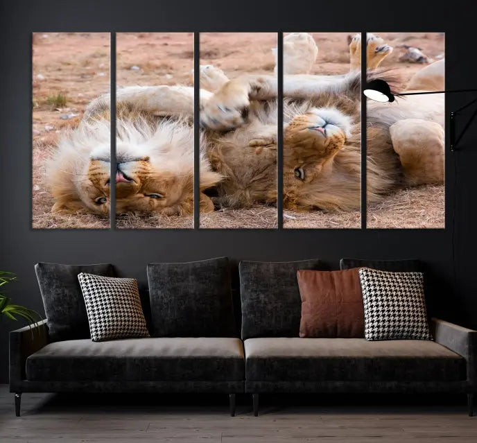 The Animal Wall Art Lion Canvas Print showcases two lions lounging on their backs, featured in a triptych configuration. This piece is printed on museum-quality canvas, comes ready to hang, and includes a UV-protective coating to maintain its vivid detail and elegance.