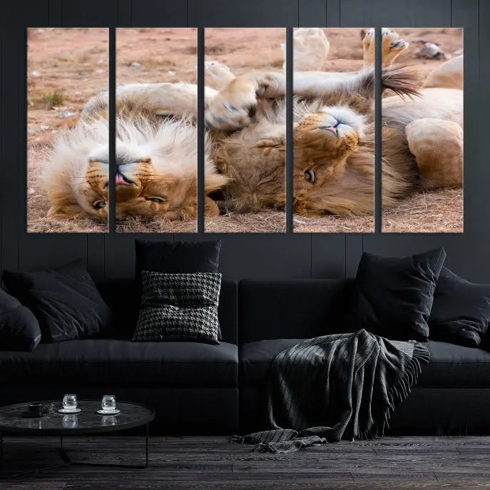 The Animal Wall Art Lion Canvas Print showcases two lions lounging on their backs, featured in a triptych configuration. This piece is printed on museum-quality canvas, comes ready to hang, and includes a UV-protective coating to maintain its vivid detail and elegance.