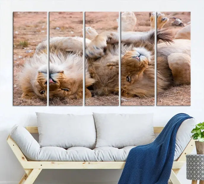 The Animal Wall Art Lion Canvas Print showcases two lions lounging on their backs, featured in a triptych configuration. This piece is printed on museum-quality canvas, comes ready to hang, and includes a UV-protective coating to maintain its vivid detail and elegance.