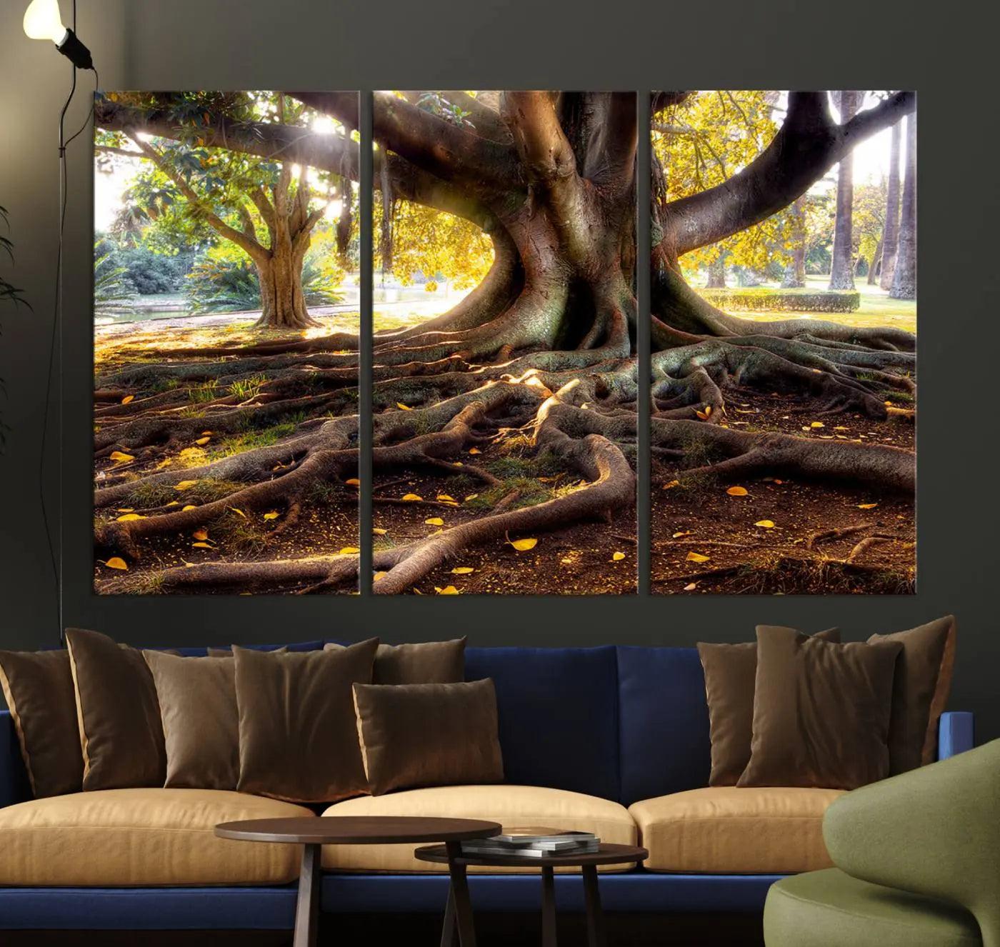 53335-MGV-CV-36X24-Banyan Tree Canvas Wall Art Print - Majestic Roots and Sunlit Canopy, Moreton Bay Fig Tree Art for