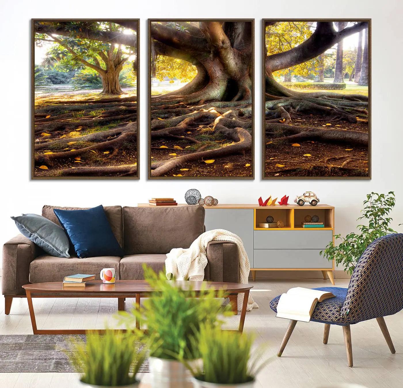 53335-MGV-CV-36X24-Banyan Tree Canvas Wall Art Print - Majestic Roots and Sunlit Canopy, Moreton Bay Fig Tree Art for