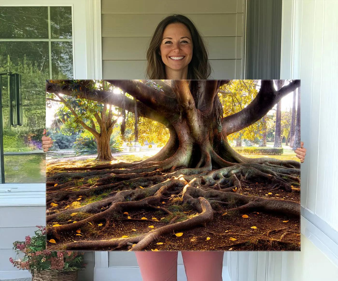 53335-MGV-CV-36X24-Banyan Tree Canvas Wall Art Print - Majestic Roots and Sunlit Canopy, Moreton Bay Fig Tree Art for
