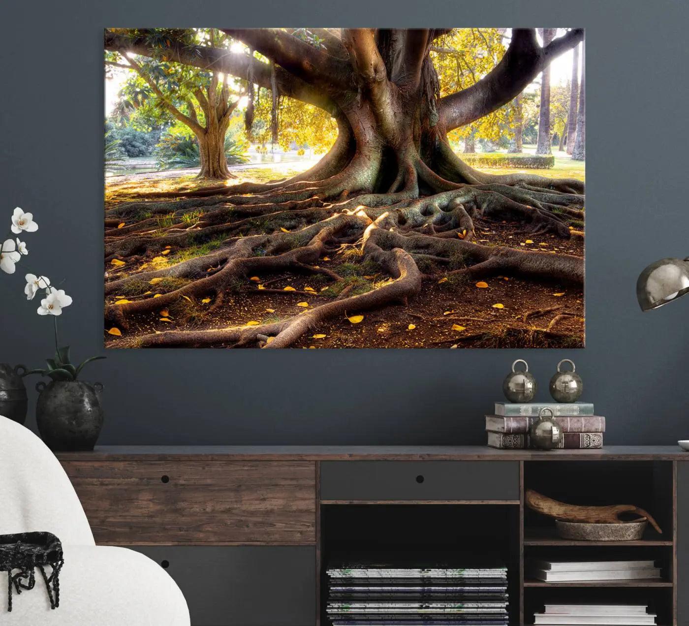 53335-MGV-CV-36X24-Banyan Tree Canvas Wall Art Print - Majestic Roots and Sunlit Canopy, Moreton Bay Fig Tree Art for