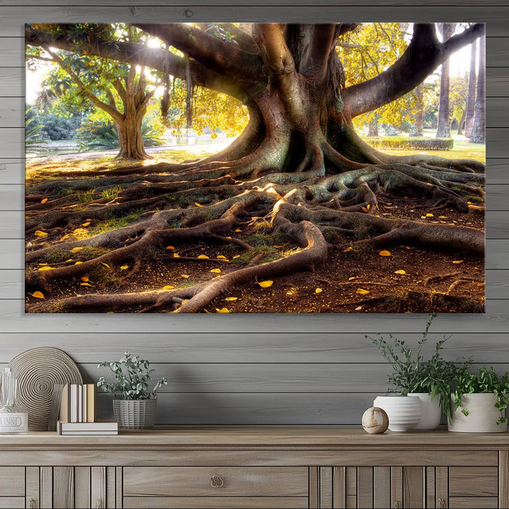 The Banyan Tree Canvas Wall Art with majestic roots enhances the space with its presence.