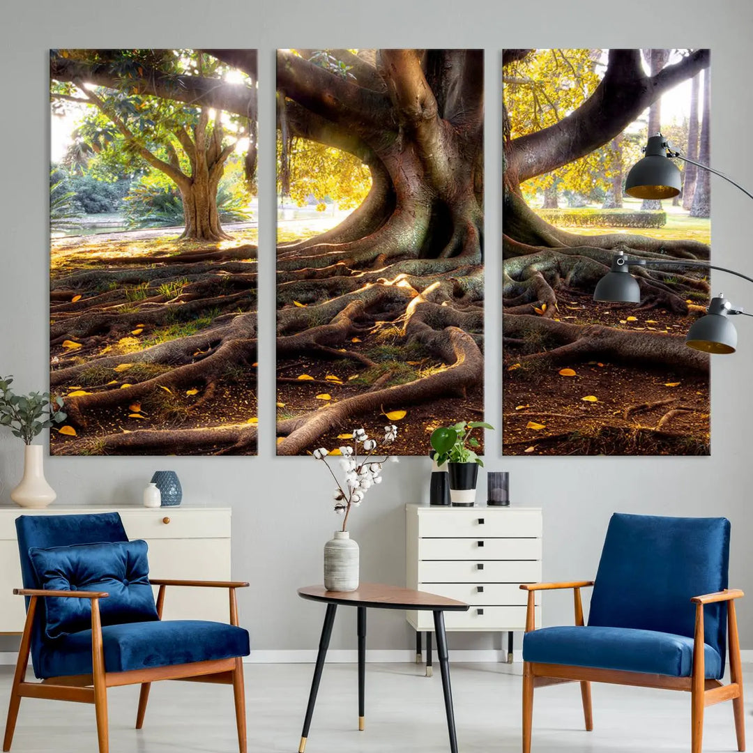 The Banyan Tree Canvas Wall Art with majestic roots enhances the space with its presence.