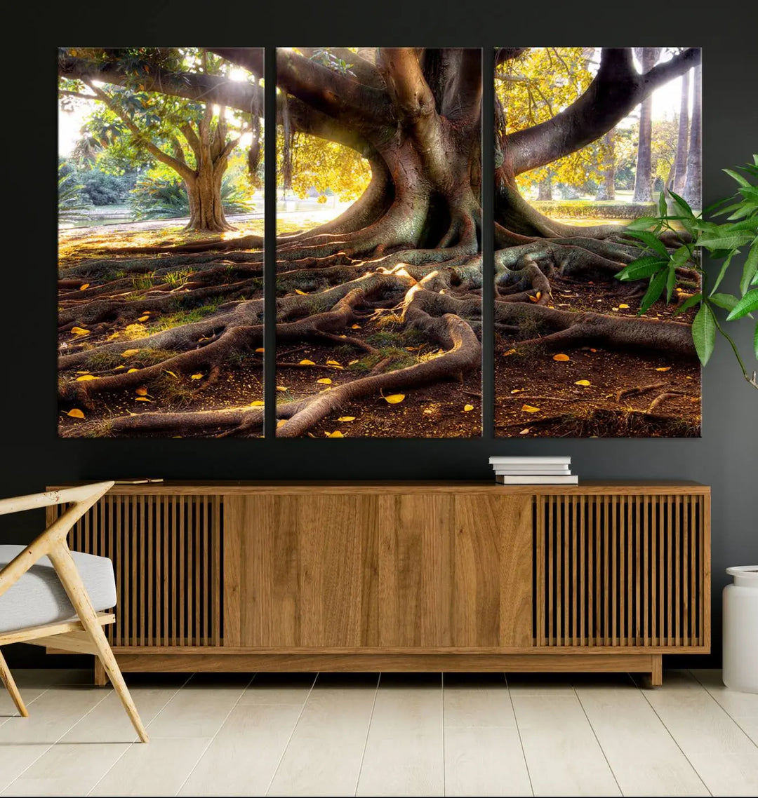 The Banyan Tree Canvas Wall Art with majestic roots enhances the space with its presence.