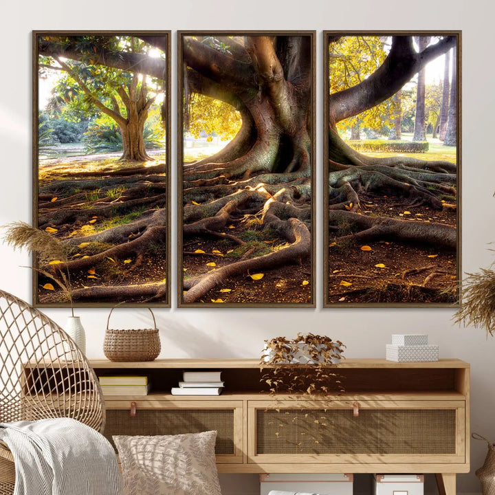 The Banyan Tree Canvas Wall Art with majestic roots enhances the space with its presence.