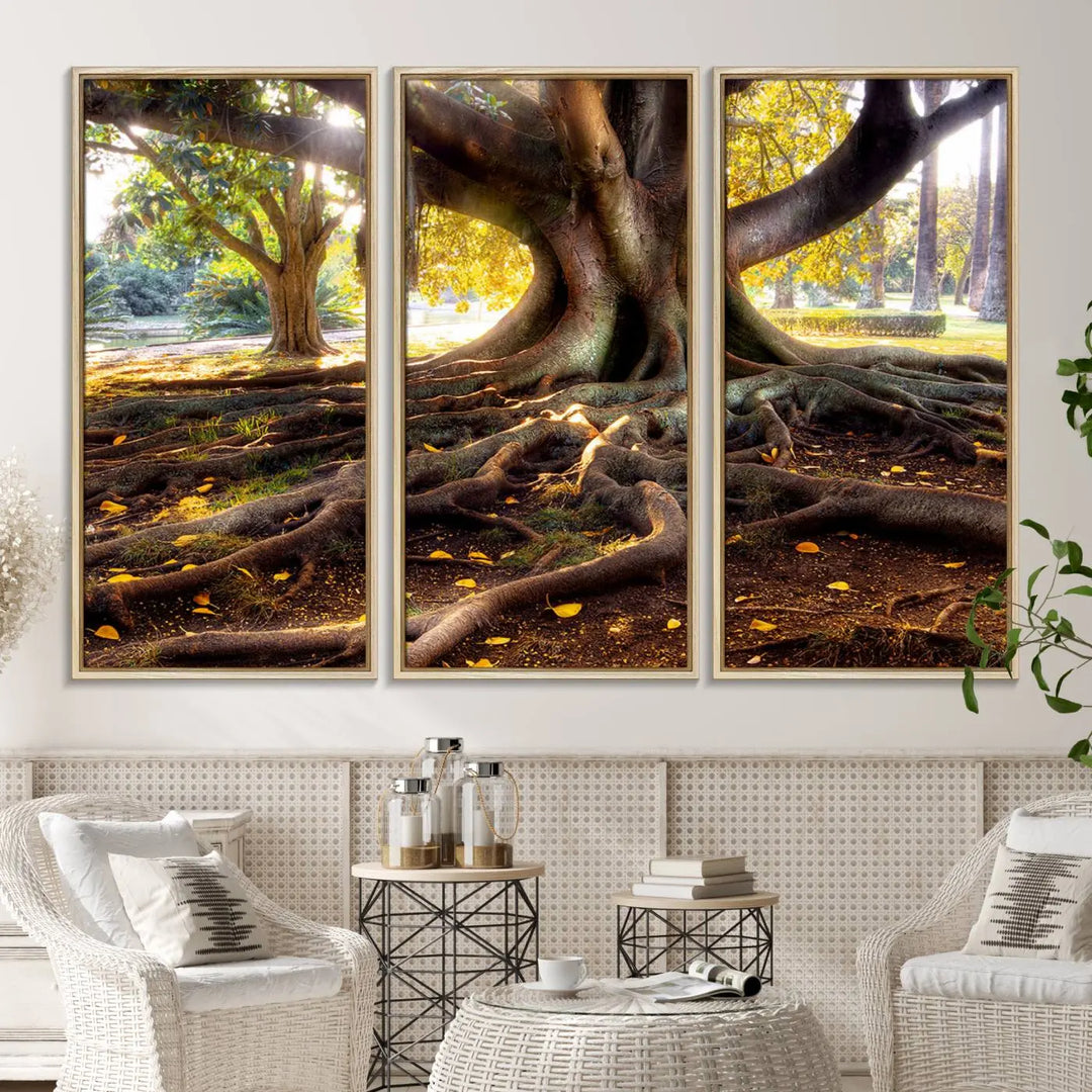 The Banyan Tree Canvas Wall Art with majestic roots enhances the space with its presence.