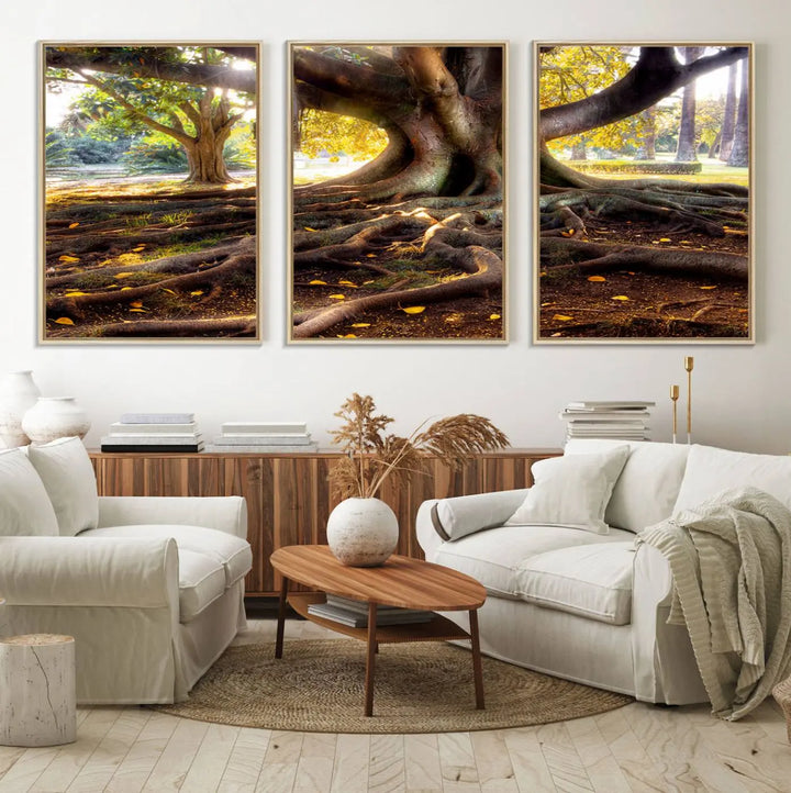 The Banyan Tree Canvas Wall Art with majestic roots enhances the space with its presence.