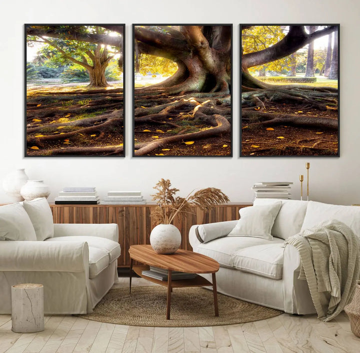 The Banyan Tree Canvas Wall Art with majestic roots enhances the space with its presence.