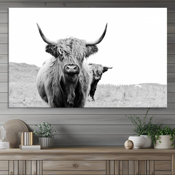 Beautiful Highland Cow Canvas Wall Art, Framed Highland Cow Canvas Decor
