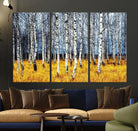 Birch Trees Wall Art Print, Wall Art Landscape Canvas Print Leafless Trees on Yellow Ground