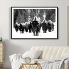 62434-MGC-FP-36x24_Black-Bison Herd in Snow Wall Art Canvas Print | Rustic Western Bison Wall Art for Decor for Living Room, Office, and Farmhouse Decor