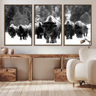 62434-MGV-CV-36X24-Bison Herd in Snow Wall Art Canvas Print | Rustic Western Bison Wall Art for Decor for Living Room, Office, and Farmhouse Decor | Framed